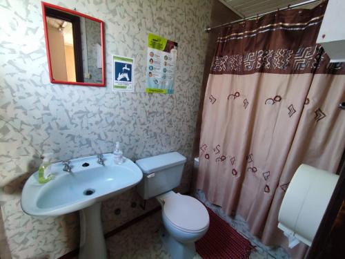 a bathroom with a sink and a toilet and a shower curtain at Hospedaje Pensión Eli in Temuco