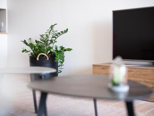 a living room with a table with a potted plant at Residence Saletta Mare in LʼÎle-Rousse