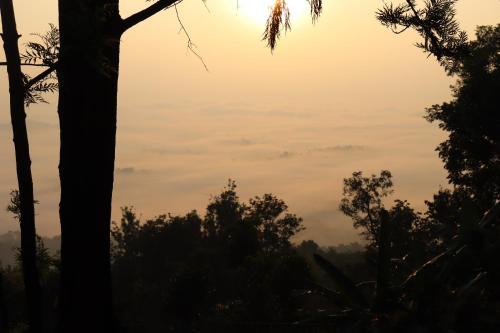 a view of the sunset through the trees at Cicadas Nature Resort - A Frame cottages in Wayanad