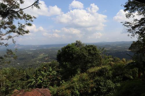 a view of a valley from a hill with trees at Cicadas Nature Resort - A Frame cottages in Wayanad