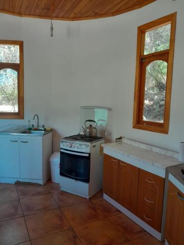a kitchen with a stove and a sink at Casa los Misticos, Vicuña, Valle del Elqui in Vicuña