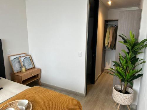 a bedroom with a potted plant and a closet at Departamentos Wonderlust Dorotea in Puerto Natales