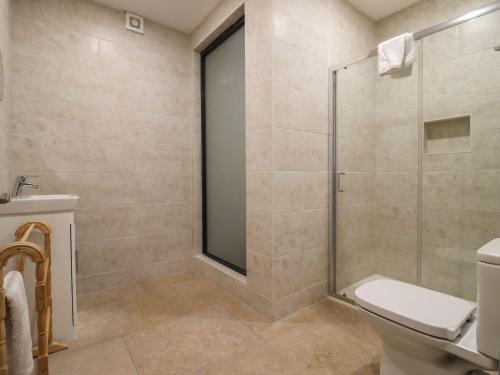 Un baño con inodoro y ducha de cristal. en Bears Court Barn 4, en Cheltenham