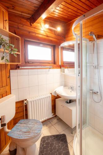 a bathroom with a toilet and a sink at Casa Foresta in Bad Lauterberg