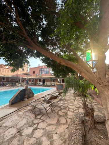 a tree with a bench next to a swimming pool at La Kasbah du Jardin in Aït Ben Haddou