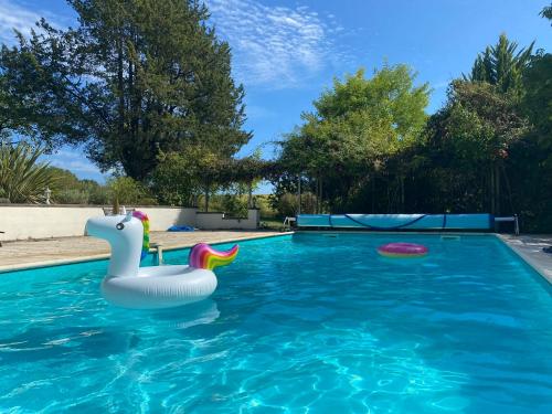 une piscine avec un cygne en plastique et un frisbee dans l'établissement Plantivel, la maison et le gite, à Allemans