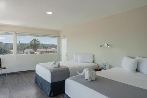 Dos camas en una habitación blanca con ventana. en Hotel Windsor Plaza, en San Salvador