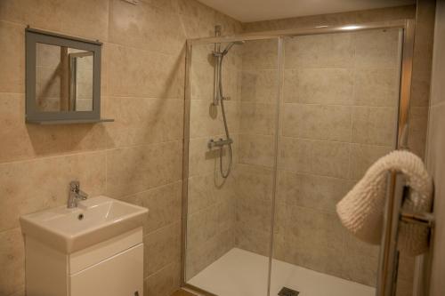 a bathroom with a shower and a toilet and a sink at Bears Court Barn 5 in Cheltenham