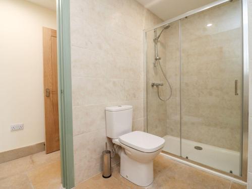 a bathroom with a toilet and a shower at Bears Court Barn 3 in Cheltenham
