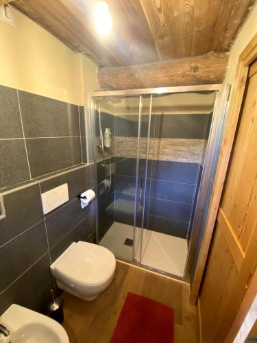 a bathroom with a toilet and a glass shower at Baita Codirosso a Case di Viso in Ponte di Legno
