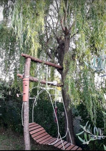 a tree with a wooden swing in front of a tree at Casa Silos in Arcevia