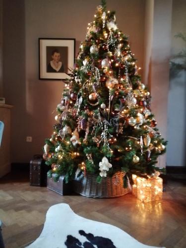 a christmas tree sitting in front of a room at Casa della Nonna in Diest