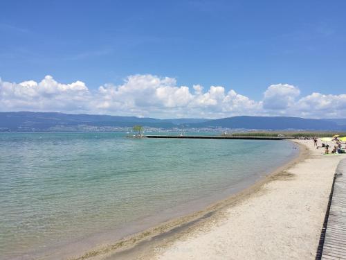 a beach with a pier in the water at Gletterens - Mobile Home proche du lac in Portalban- Dessous
