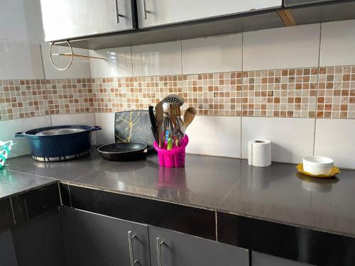 a kitchen counter with utensils in a pink container at Snowhaven One bedroom accomodation Kitengela in Kitengela 