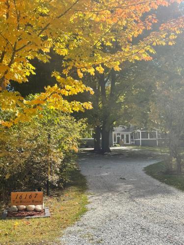 a tree with yellow leaves on it with a driveway at In Union Pier! By Beach with 5 bedrooms, jacuzzi, yard in Union Pier