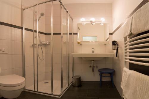 ein Bad mit einer Dusche, einem WC und einem Waschbecken in der Unterkunft Gasthof Zur Traube in Grein
