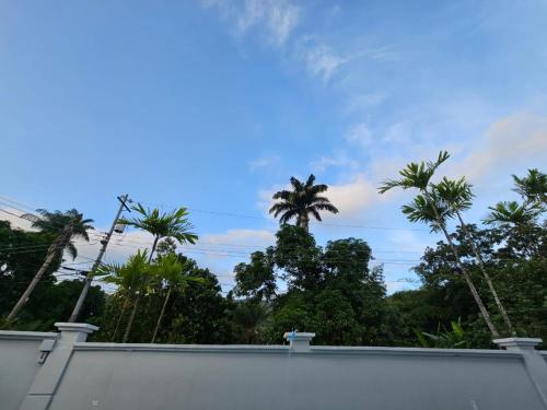 a view of palm trees and a blue sky at Riverside Poolside Apartment in San Juan