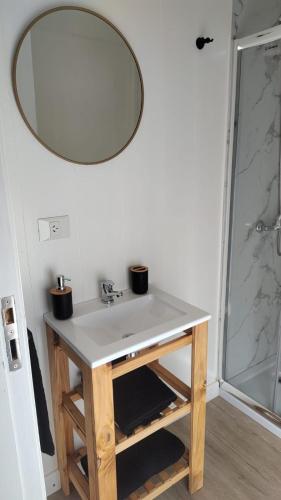 ein Badezimmer mit Waschbecken und Spiegel in der Unterkunft Casa ZenPine in San Martín de los Andes