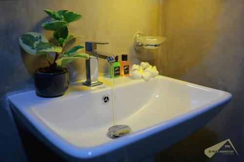 a sink with a potted plant on top of it at D Plus Homestay Negombo in Negombo
