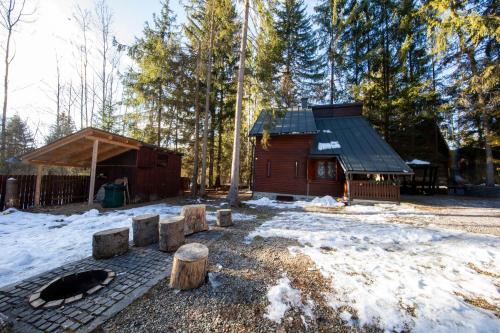 a cabin in the woods with snow on the ground at Cabana Adrienne in Izvoru Mureşului