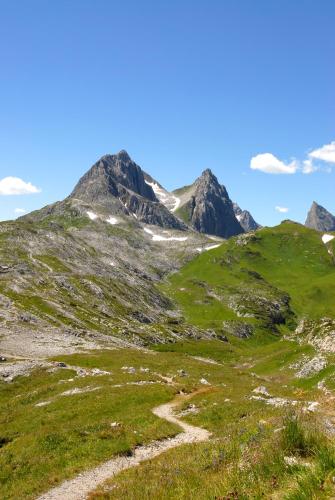 a grassy hill with mountains in the background at Bacherhof in Sankt Anton am Arlberg