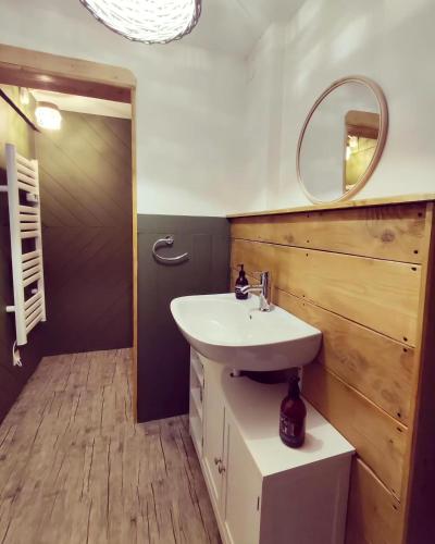 une salle de bain avec un lavabo et un miroir dans l'établissement Duplex avec jardin, à La Bourboule