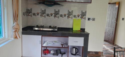 Kuchyň nebo kuchyňský kout v ubytování JAP Guest House & Apartments