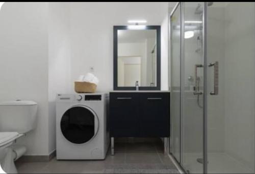 La salle de bains est pourvue d'un lave-linge et d'un miroir. dans l'établissement Appartement cocon, à Décines-Charpieu
