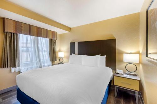 a hotel room with a large bed and a window at Best Western Fallon Inn & Suites in Fallon