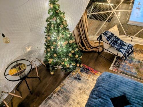 a living room with a christmas tree in the corner at Glamping Daphenili in Tskalt'ashua