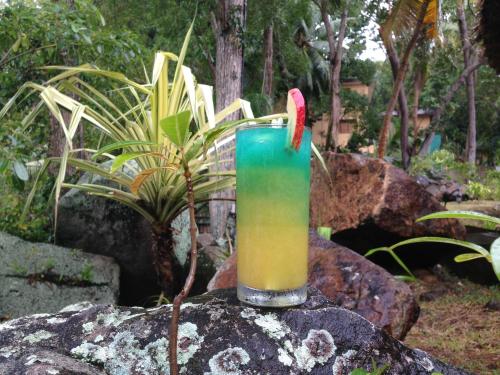 a drink in a glass sitting on a rock at Cerf Island Resort in Cerf Island