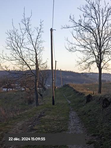a dirt road next to two trees on a field at Stasha in Donja Mala