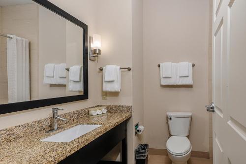 a bathroom with a sink and a toilet and a mirror at Holiday Inn Express & Suites Houston Northwest-Brookhollow by IHG in Houston