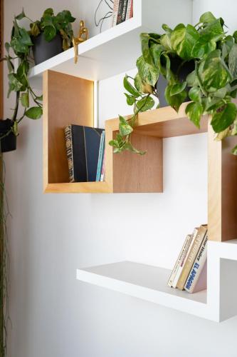 a book shelf with books and plants on it at Departamento recién remodelado en centro histórico in Puebla