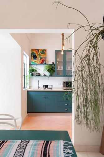 a kitchen with blue cabinets and a potted plant at Departamento recién remodelado en centro histórico in Puebla