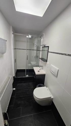a bathroom with a shower and a toilet and a sink at Haus Carmen Kleboth in Gaschurn