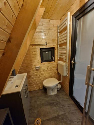 a small bathroom with a toilet and a tv at AA Frame Retreat Fundata in Fundata