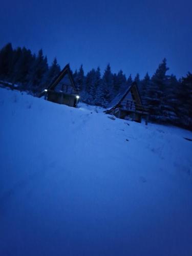 a group of houses in the snow with trees at AA Frame Retreat Fundata in Fundata