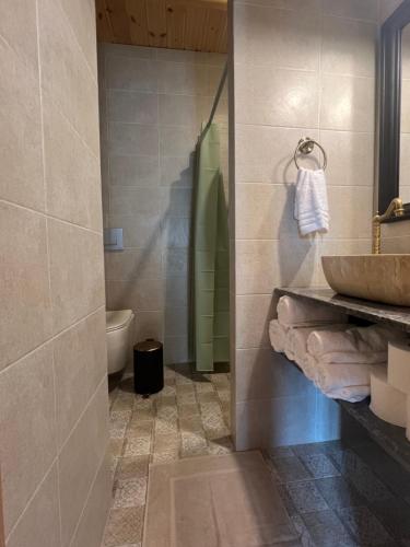 a bathroom with a sink and a shower and a toilet at Pietra Rossa in Chios