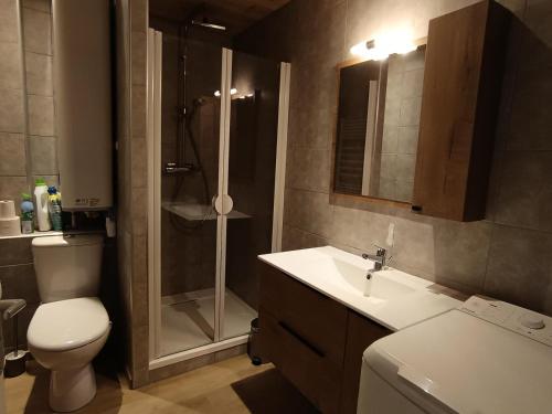 une salle de bain avec une douche, des toilettes et un lavabo dans l'établissement Résidence Alpet I - Superbe studio entièrement rénové - Sud - Balcon - Parking MAE-7561, à Montgenèvre