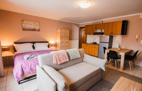 Guesthouse Pezodromosにあるキッチンまたは簡易キッチン