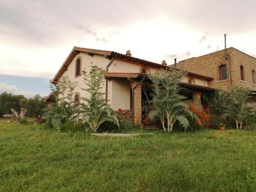 una casa en medio de un campo en Namaste, mare, lago e terme di Vulci, en Canino