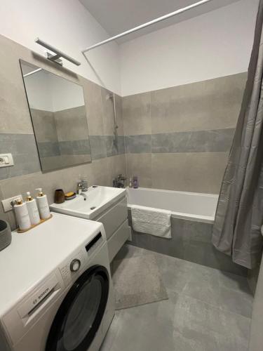 Un baño con lavadora y lavabo. en Negruzzi Apartment, en Dumbrăviţa