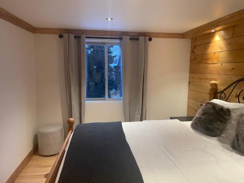 Chalet Chic 2BR plus Queen Sleeper Sofa photo 3