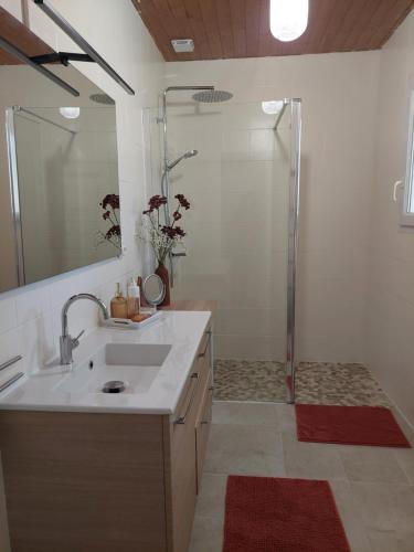 une salle de bain avec un lavabo et une douche dans l'établissement Sérénité, à Audrix