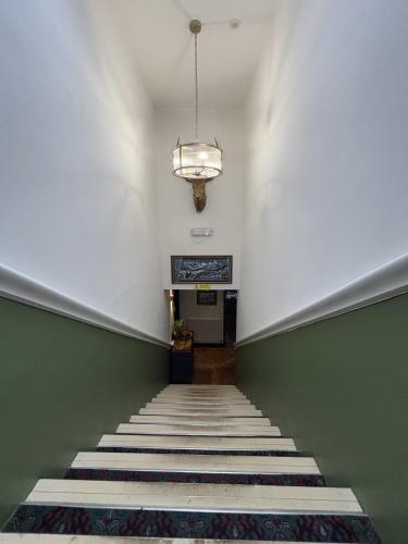 a stairway with a green wall and a chandelier at Yak & Yeti in Shrewsbury