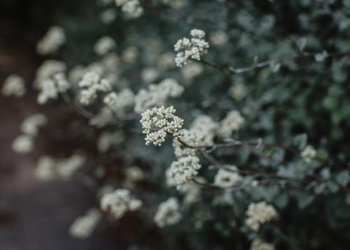 Fotografie z fotogalerie ubytování Kia Noho v destinaci Havelock North