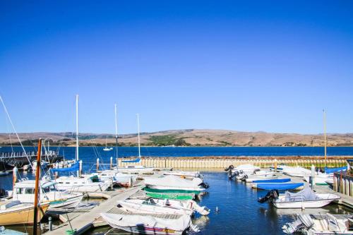 a bunch of boats are docked in a marina at Tomales Bay Lodge and Marina Inc in Inverness