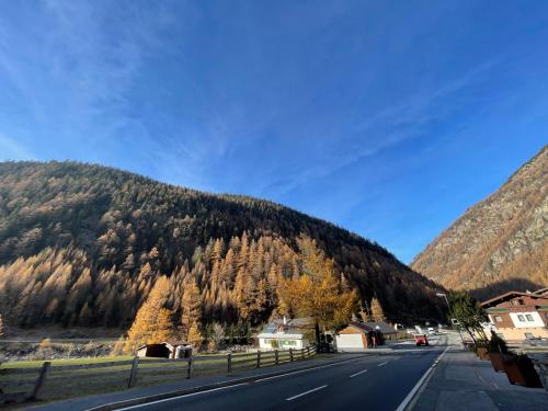 a road in front of a mountain with trees at Alpenfels Zwieselstein in Sölden
