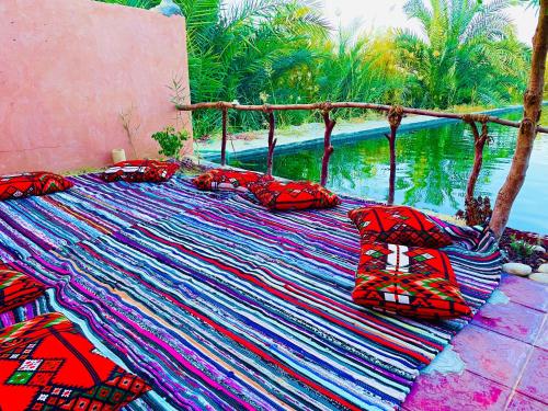 Shasha Ecolodge Retreat